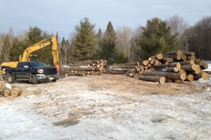 Logging Photo
